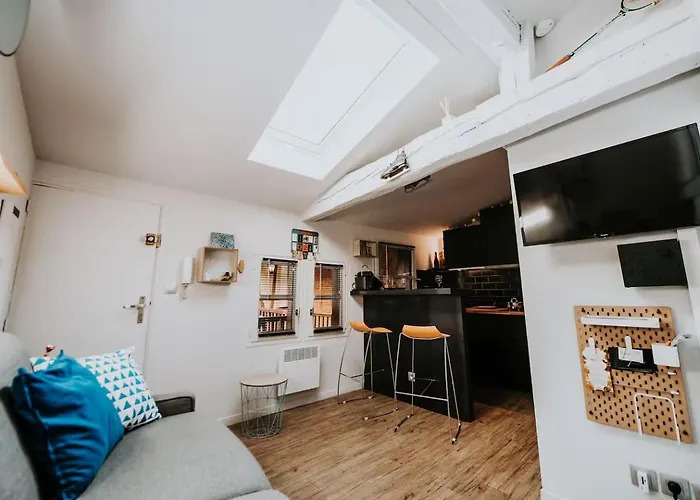 Cosy & Climatise Au Coeur De - Quartier Des Carmes Apartman